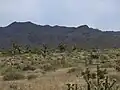 Representative landscape of the Joshua Tree National Natural Monument