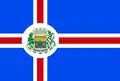 Flag of Riacho de Santana, Bahia
