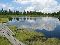 Image 5Lake Ribnica on Pohorje