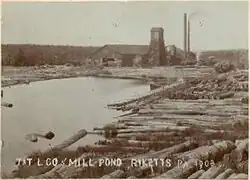 Sepia-tone photo of a pond surrounded by large logs. At the far end of the pond is a large building with a square tower and two smokestacks. Label is "T&T L CO MILL POND RICKETTS PA 1903" (i.e. Trexler and Turrell Lumber Company Mill Pond ...)