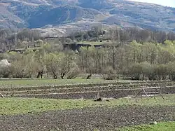 The river Baicu in Dragomirești