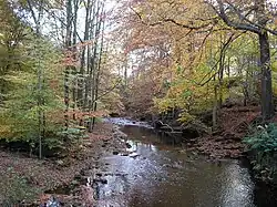 River Ryburn from the footbridge at Kebroyd