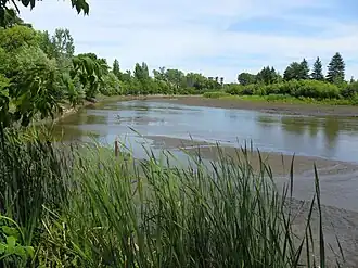 The Saint-Charles River (low water)