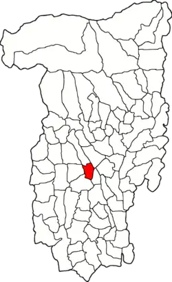 Location in Vâlcea County