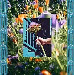 Inset photographs of flowers surrounded by paperclips