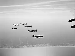 Mustangs of 5 Squadron SAAF, Italy, 1942–1945
