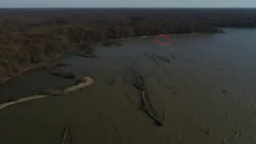 A bay containing several shipwrecks looking like small plant-covered islands