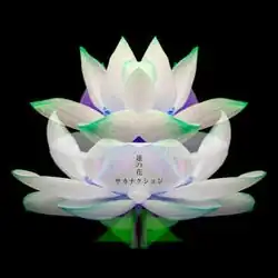 A computer generated drawing of a lotus that is vertically symmetrical.