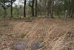 Shigaraki Palace Site