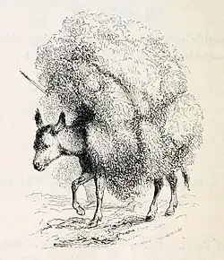 engraving of a small donkey with a massive load