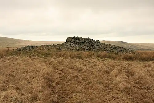cairn at Stalldown Barrow