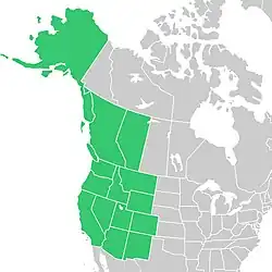 Symphyotrichum foliaceum distribution map: Canada โ Alberta and British Columbia; US โ Alaska, Arizona, California, Colorado, Idaho, Montana, Nevada, New Mexico, Oregon, Utah, Washington, and Wyoming.