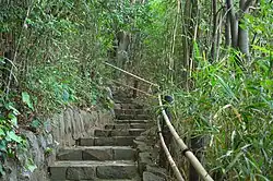 Upstairs from the Junction of Dualism (Nigenku)