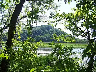 Trempealeau Mountain in the Mississippi River seen from park