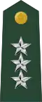 Lieutenant general