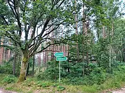 A fingerpost pointing to Lisówko and nearby Udzierz