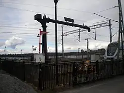 The preserved water horse