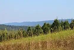 Orange Township looking southeast towards Knob Mountain