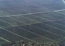 Villány: the wine region