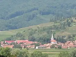 The village viewed from across the Olt River