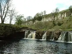 Wain Wath Force, near Keld, with the limestone cliffs of Cotterby Scar in the background.