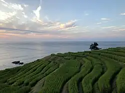 Wajima Shiroyone Senmaida rice terraces at dusk