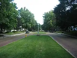 North end of White Pl, center median, looking South