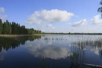 Lake Beloye ("White Lake"), northern Ryazan Oblast