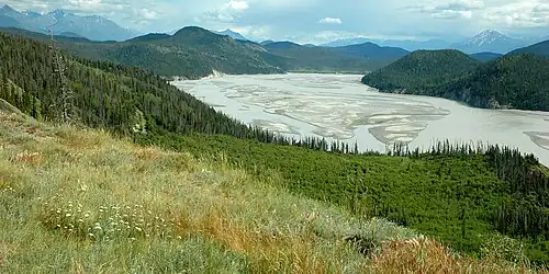 Chitina River from McCarthy Road, east of Chitina, Alaska, USA (28 June 2009)