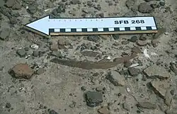 Fragments of comb impressed pottery; Zilum, circa 600-400 BCE; Carlos Magnavita's personal photo